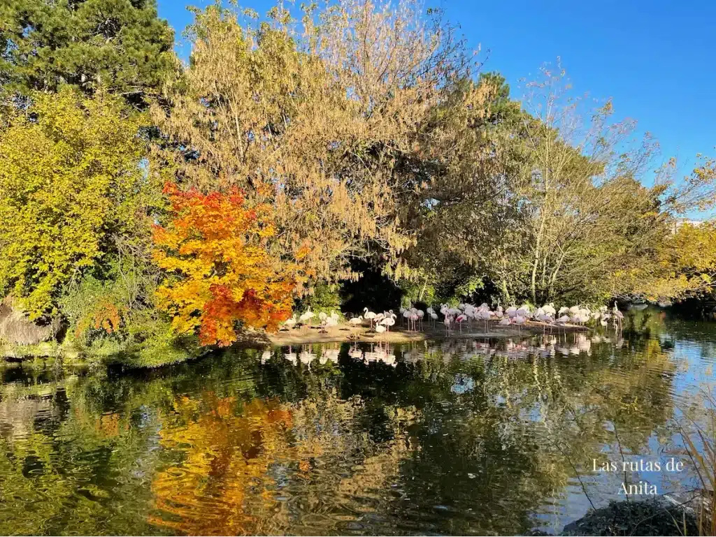 Foto del zoológico de Lyon en el Parc de la Tete d'or